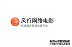 风行FSP任务列表里的连接数和完整度是什